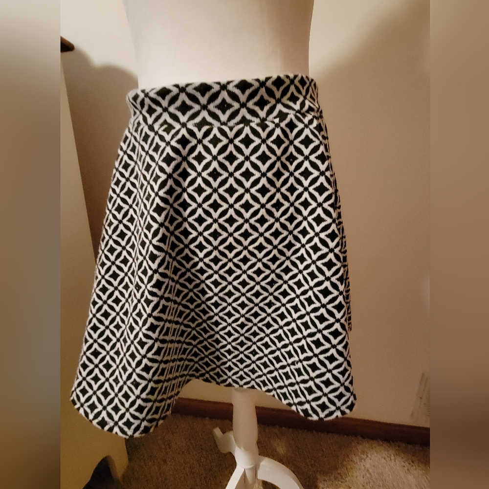 2 skirts by Joe B